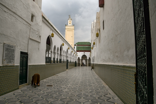 moulay-isdriss-6