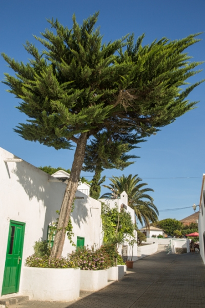 teguise6