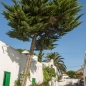 teguise6